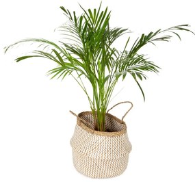 Zic Zac világos tengerifű tárolókosár, ⌀ 35 cm - Compactor