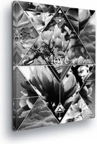 Vászonkép 40x60 Virágok geometria háromszögek minimalizmus természet absztrakt kollázs