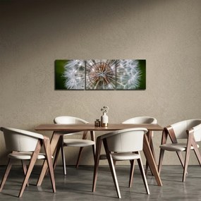 Pitypang képe (órával) (90x30 cm)