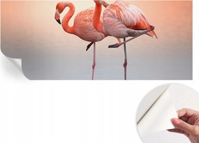 Öntapadós fotótapéta Divatos Finom flamingók 250x104 cm