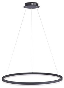 Paul Neuhaus 2383-13 - LED Dimmelhető csillár zsinóron TITUS LED/50W/230V