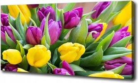 Vászonkép Színes tulipánok 100x70 cm