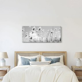 Kép - Boho nyuszi farok fű (120x50 cm)