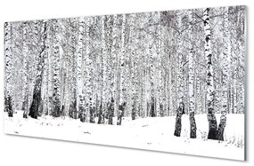 Üvegképek Téli nyírfák 120x60cm