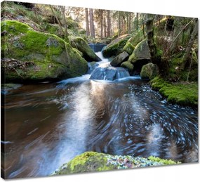 Vászonkép 50x40 Csendes folyószakasz