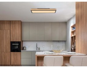 Globo 416080WD - LED Mennyezeti lámpa DORO LED/18W/230V