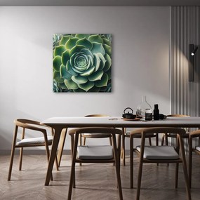 Kép a pozsgás tökéletes spirálja