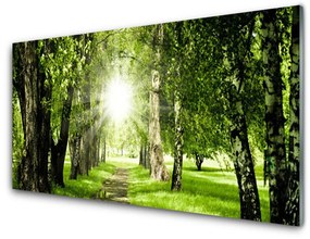 Üvegkép Sun Forest Path Nature 100x50 cm 2 fogas