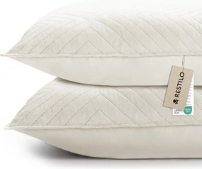 Mikroszálas párnahuzat szett 2 db-os 45x45 cm Softa – Restilo