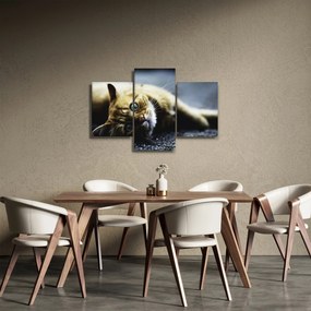 Macska képe (90x60 cm)
