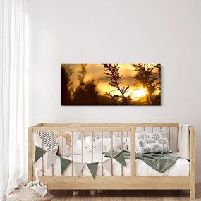 Kép - A nap lenyugszik a fák mögött (120x50 cm)