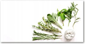 Fotó kép fotó edzett üveg Gyógynövények 140x70