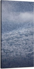 Vászonkép Természet Hófödte erdő 40x80 cm