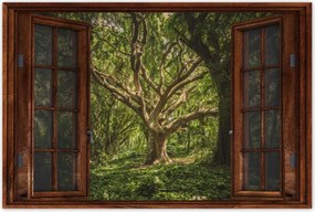 Poszterek 90x60 Fa a parkban