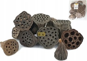 Kis szárított lótuszgyümölcs, Lótusz dekoráció, nádra, dísz 4-6cm/12db