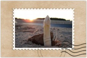 Poszterek 90x60 Első spárga