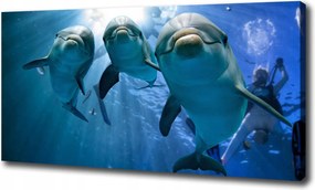 Nagyméretű vászonkép Három delfin 100x70 cm