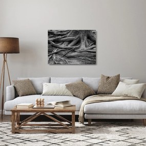 Üveg kép - A fa gyökerei (70x50 cm)