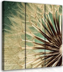 Vászonkép 90x100 Pitypang mag pehely könnyedség természet mulandóság nyugalom