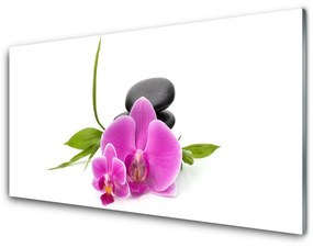 Akril üveg kép Stones virág növény 140x70 cm