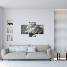 Kép - nyúlfarknyi fű az asztalon (90x60 cm)