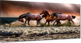 Képek 120x60 Galoppozó lovak