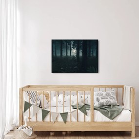 Kép - Páfrányok a holdfényben (70x50 cm)