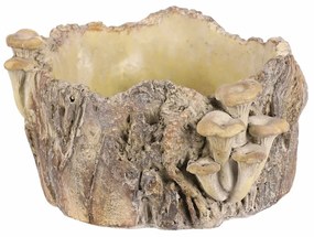 Beton burkolat - tusk with mushrooms, 26 x 24 x 14cm, 26 cm
