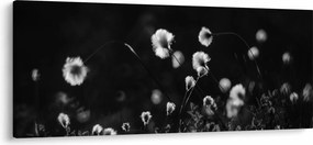 Kép - Gyapotfűvel borított rét N⁰1 (120x50 cm)