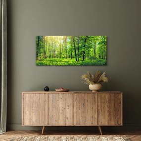 Kép - Tavaszi lomberdő (120x50 cm)