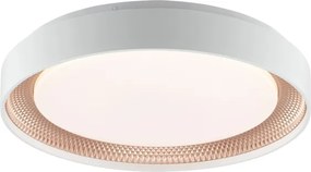 Brilliant - dimmelhető LED mennyezeti lámpatest WALDO LED/24W/230V fehér/rózsaarany + távirányító