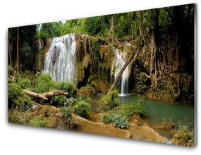 Akrilkép Vízesés River Forest Nature 125x50 cm