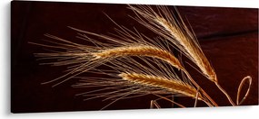 Kép - Rozsfül részlete (120x50 cm)
