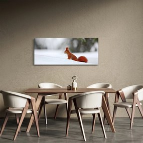 Egy mókus képe (120x50 cm)