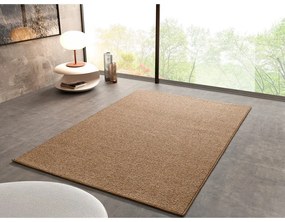 Barna szőnyeg 80x150 cm Petra Liso – Universal