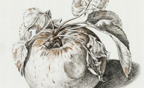 Fotótapéta Flizelin tapéta Hálószoba és Nappali Alma levelek 416x254