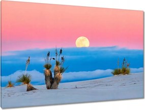 Festmények 120x80 Kilátás Tájkép