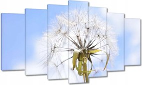 Vászonkép 140x80 Pitypang Virág Virágok