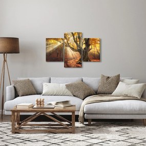Kép - Őszi fény (90x60 cm)
