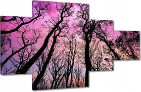 Festmények 130x80 Erdő Fák Kilátás alulról