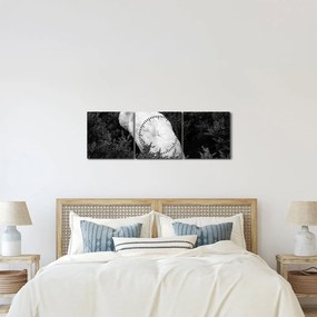 Kép - Páva, fekete-fehér (órával) (90x30 cm)