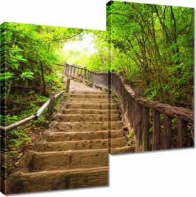 Vászonkép 60x60 Lépcsők az erdőbe