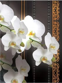 Fotótapéta Orchideák fehér-fekete elegancia és perspektíva 206x275 +ragasztó