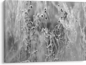 Kép - Wild Meadow (70x50 cm)