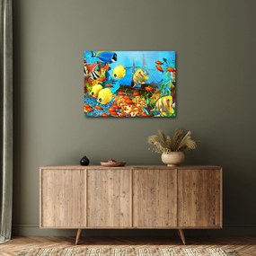 Kép - színes korallzátony (70x50 cm)
