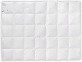 Libapehely paplan 70% 155x200 Basic Meleg Téli 1500g fehér