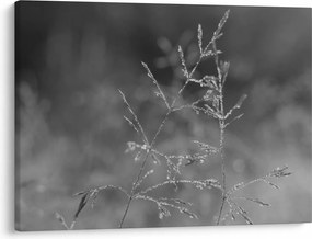 Kép - Vidéki rét (70x50 cm)
