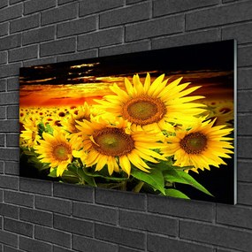 Akril üveg kép Napraforgó virág növény 120x60 cm