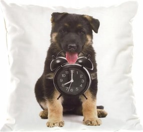 Velúr párnahuzat 40x40 cm Színes Kutya Dekoratív Párnahuzat