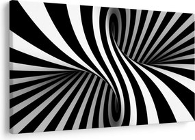 Absztrakt kép zebra csíkokkal (90x60 cm)